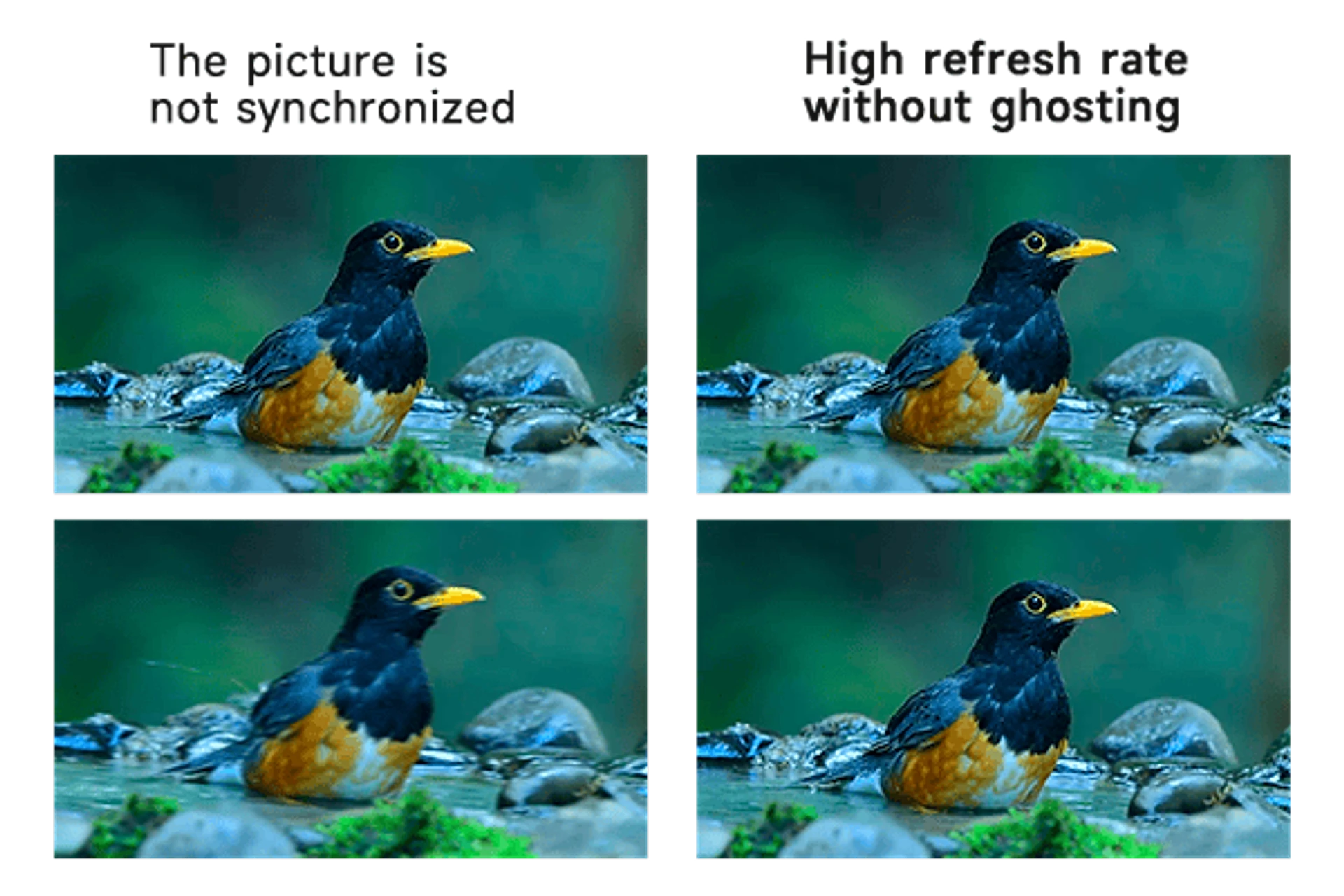 LED CAVE — 3. High Refresh Rate Without Ghosting.png