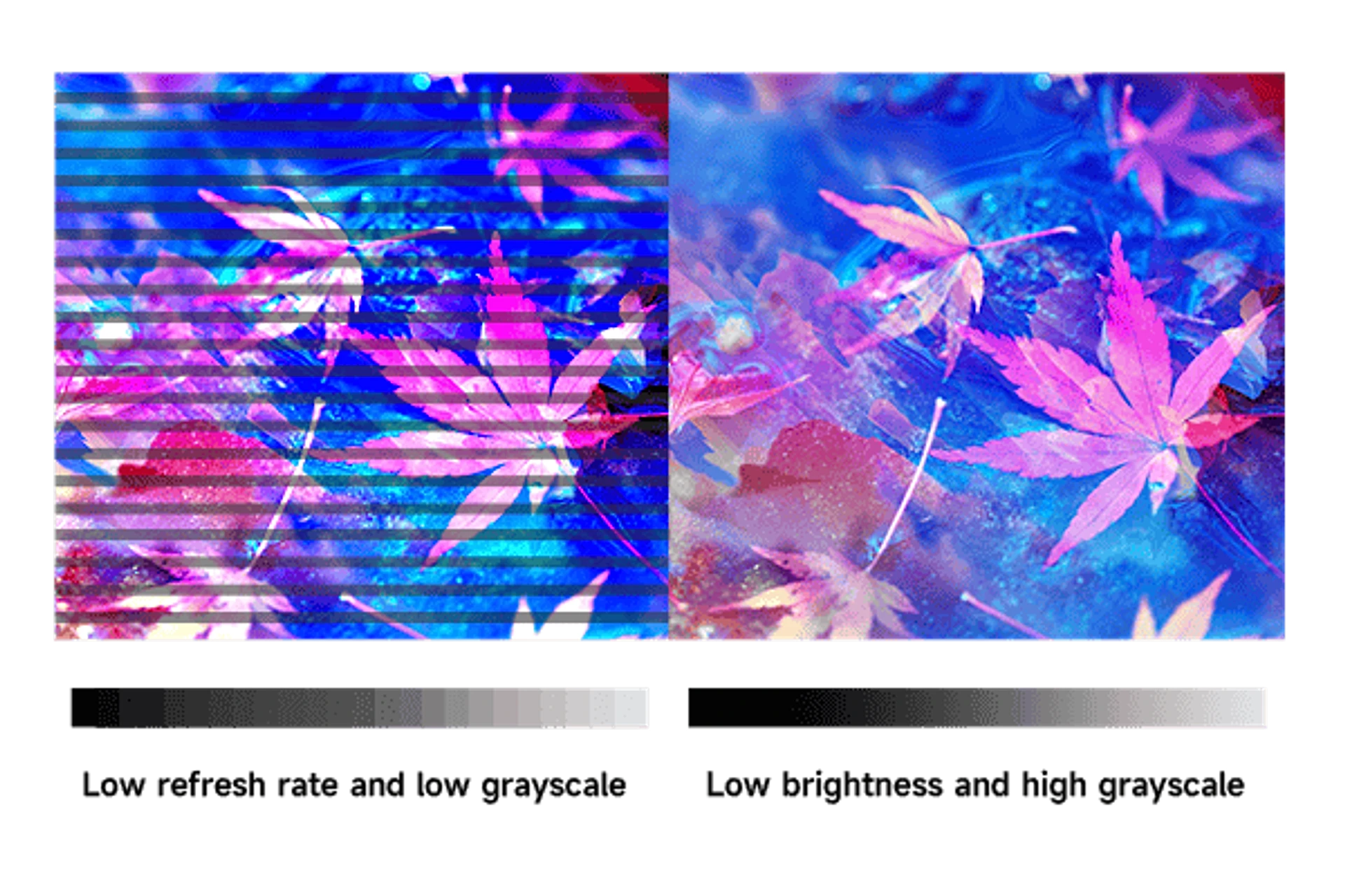 Full Color Indoor LED Display Module — 1 Indoor LED display with Low Brightness And High Grayscale.png